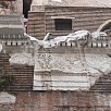 Foto: Particolare Architettonico Esterno - Pantheon  (Roma) - 11